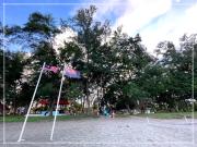 Top Bandar Penawar