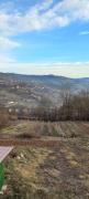 Top Pogled