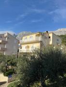 Top Promajna Top Promajna