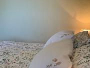 Blue Palm Apartment, Ika-Opatija