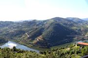 River View ate Terrus Winery