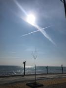ioanikos sunshine