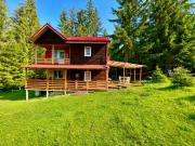 Cosy wooden house in the heart of Apuseni.