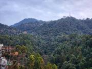 Top Dalhousie