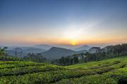 Top Vagamon