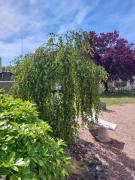 Top Azay-le-Rideau