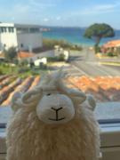 Top Baja Sardinia Top Baja Sardinia