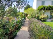Top Maussane les Alpilles