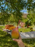 Top Poiana Mărului Top Poiana Mărului