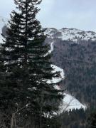 Inserrata Abetone in Tuscany