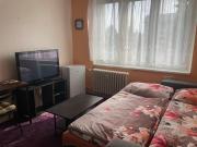 Garsoniera U lesoparku