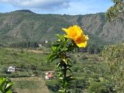 Top Samaipata