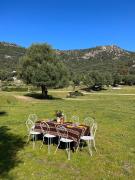 Top Santa-Reparata-di-Balagna