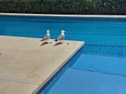 Balcón sobre el mar