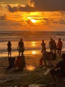 Cabañas MOHES ballena