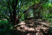 The Bush Cottage at Mokolodi Gaborone