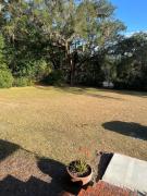 Top Tallahassee