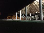 Top Estación Catorce