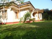 Freedom River House Free Environment Villa