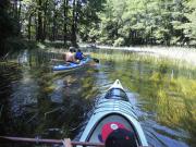 Top Augustów Top Augustów