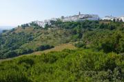 Top Vejer de la Frontera
