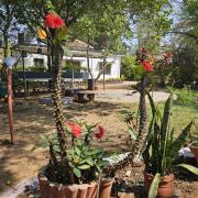 Mysticgreens Home Stay