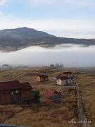 Top Berlín Top Berlín