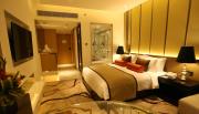 Top New Delhi