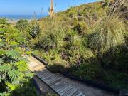 Top Matanzas Top Matanzas