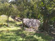 Top Girardota Top Girardota