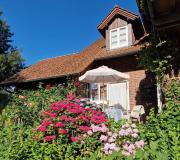 Top Detmold