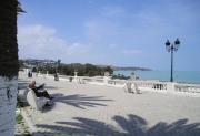 Top Tunis