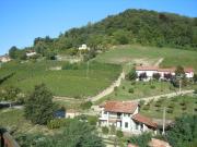 Top Monforte dʼAlba