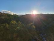 Top San José Top San José