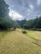 chalet cosy au calme