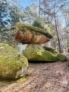 Ferienland Sonnenwald Fewo 46 und Studio 50 in Schöfweg Bayerischer Wald