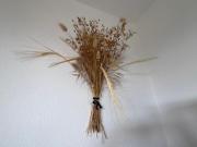 Appartement T2 + Alcôve, piscine collective, 5 pers, parking - FR-1-323-568