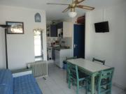 Appt climatisé, 4 pers, piscine et parking - Le Grau-du-Roi - FR-1-250-300