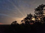 Top Rum Jungle Station