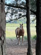 Top Capilla del Señor