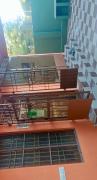 Top Auroville
