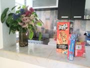 Top CancĂșn Top CancĂșn