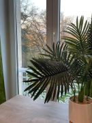 Château de Lagravade - Appartement 1 chambre - 3eme étage