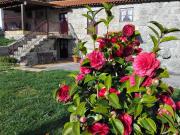 Top Cabeceiras de Basto