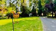 Top Woodinville