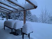 Petit chalet en montagne