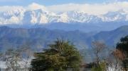Top Almora