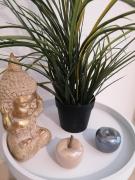 Top Alénya Top Alénya