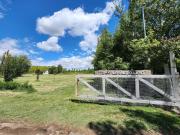 Top Colonia Las Rosas