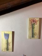 Top Rosignano Marittimo